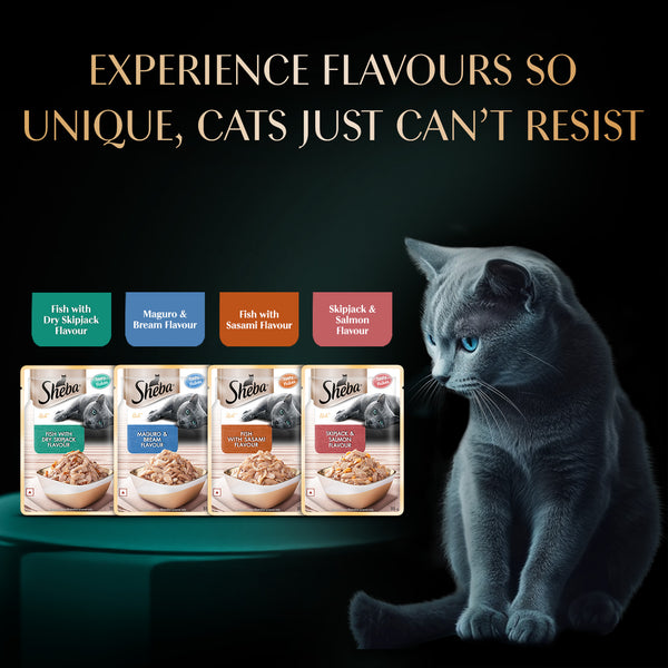 Sheba Fish with Dry Skipjack Premium Cat Wet Food