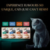 Sheba Fish with Dry Skipjack Premium Cat Wet Food Cats-Wet Food Sheba