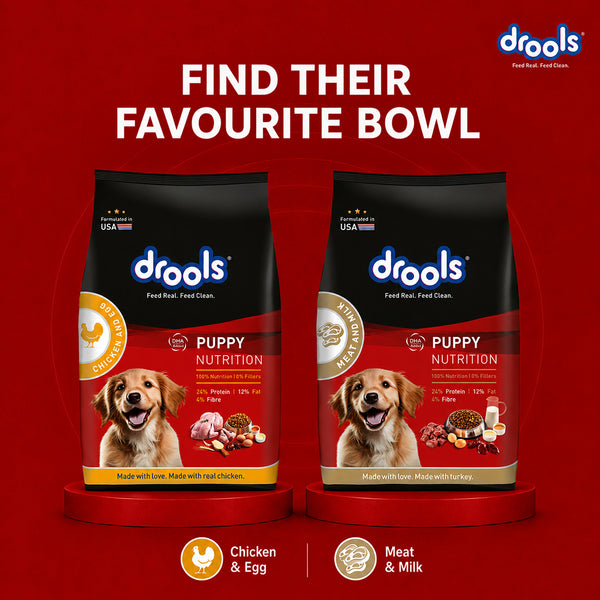 Drools Chicken and Egg Puppy Dog Dry Food