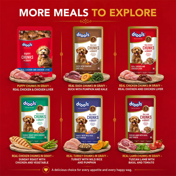 Drools Real Chicken & Chicken Liver Chunks in Gravy Puppy Dog Wet Food