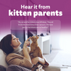 Whiskas Mackerel Flavour Kitten (2 to 12 months)Cat Dry Food Cats- Dry food Whiskas
