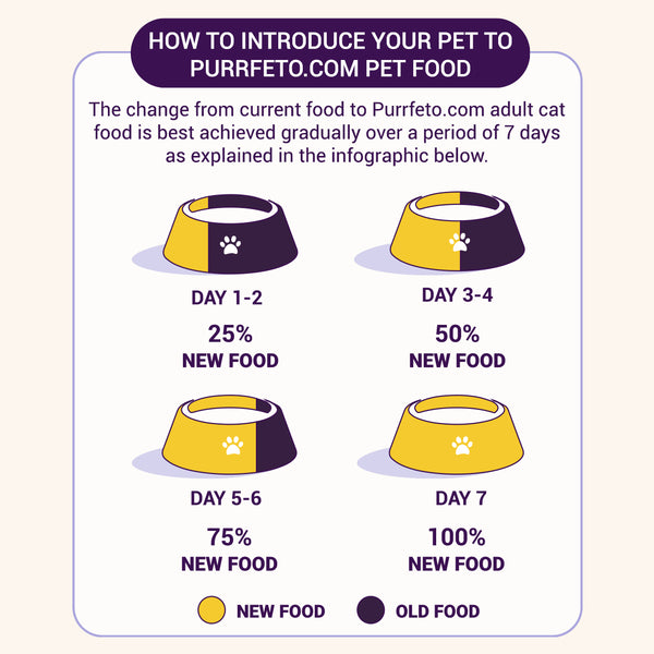Purrfeto.com Chicken and Rice Adult Cat Dry Food