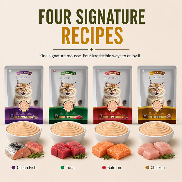 Signature Grain Zero Chicken Mousse Kitten Cat Wet Food