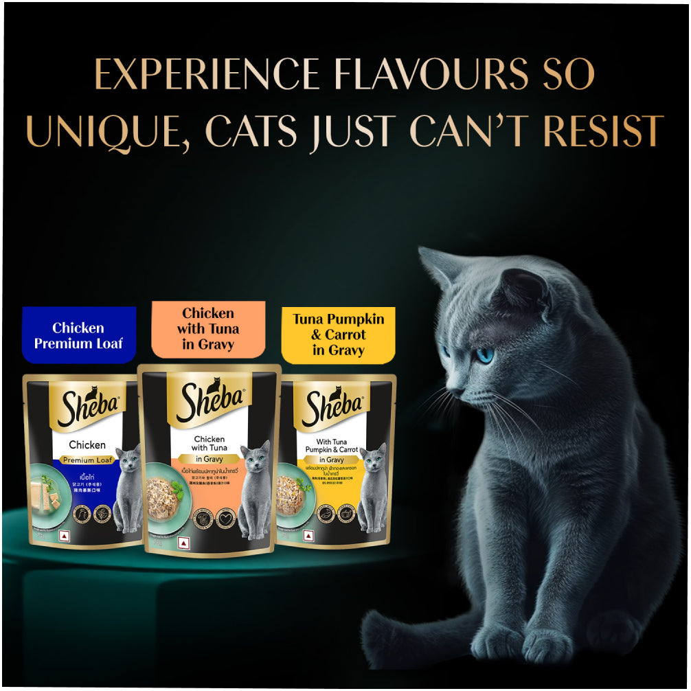 Sheba Chicken Loaf Rich Premium Adult Fine Cat Wet Food