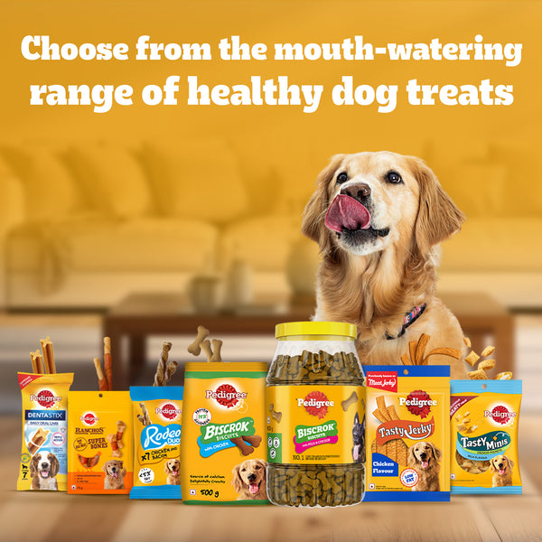 Pedigree Chicken Flavour (4+ Months) Biscrok Biscuits Jar Treats for Dogs