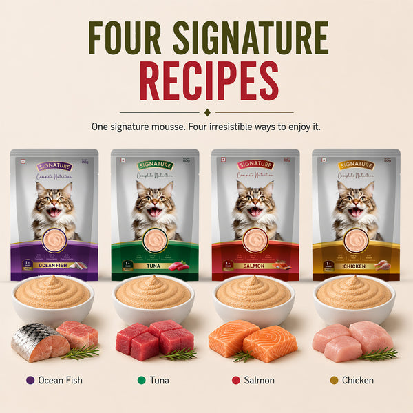 Signature Grain Zero Salmon Mousse Adult Cat Wet Food