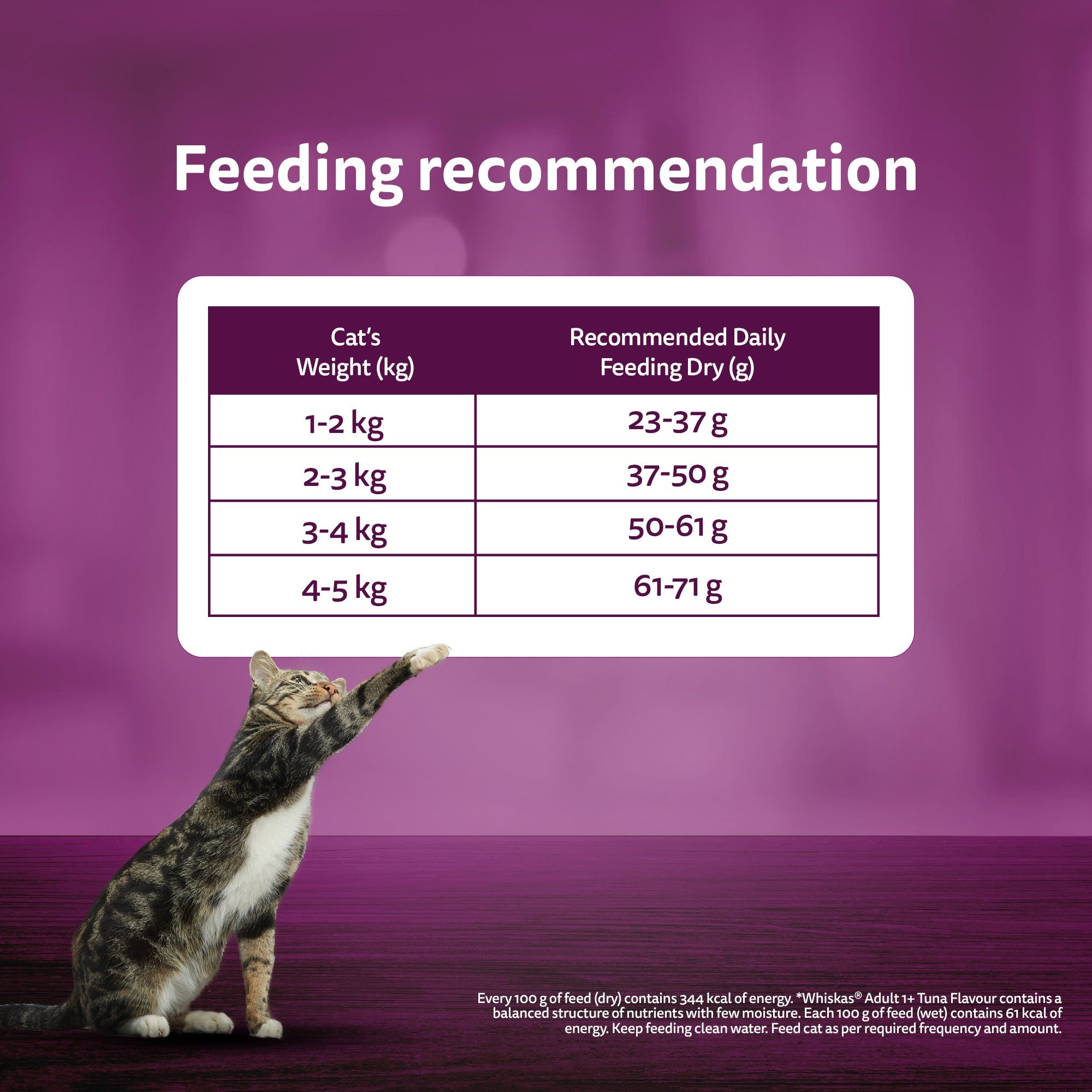 Whiskas Ocean Fish Flavour Dry Food & Petkit Freshelement Solo Automatic 2.4G WiFi Food Dispenser Adult Cat Combo Cats- Dry food Whiskas