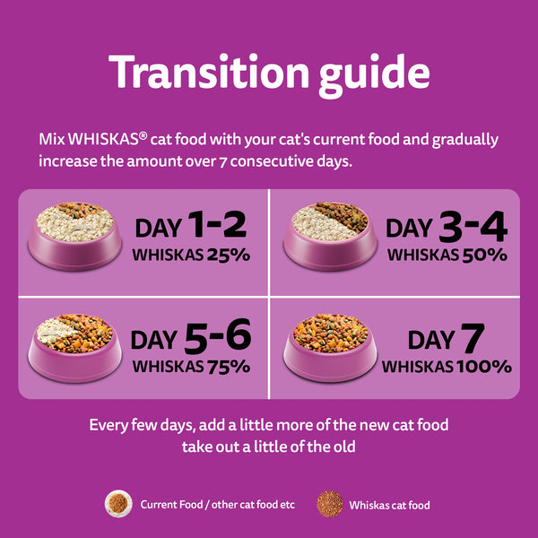 Whiskas Catla Fish Flavour Adult Cat Dry Food