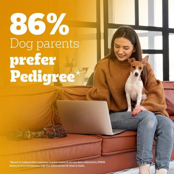 Pedigree Puppy Dog Food Combo |Meat & Milk Dry & Chicken & Liver Wet