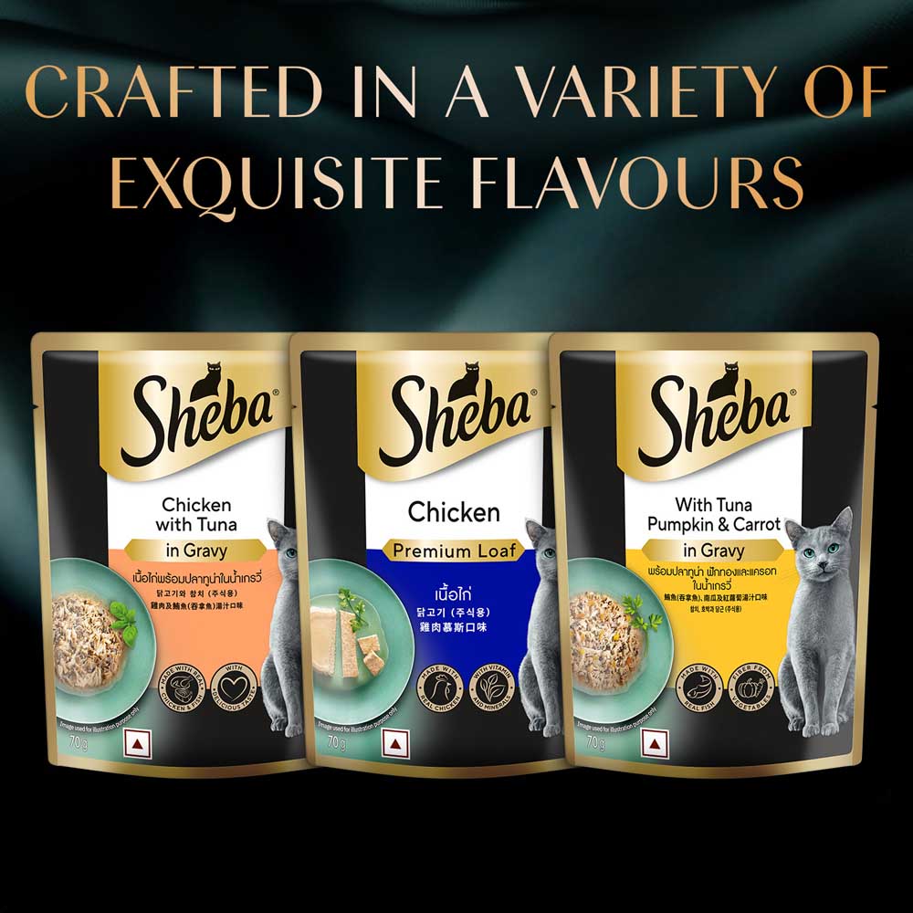 Sheba Tuna Pumpkin & Carrot In Gravy Rich Premium Adult Fine Cat Wet Food Cats-Wet Food Sheba