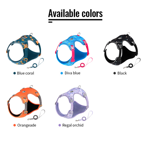 Truelove Ultra Light Harness & Leash Set for Small Dogs (Diva Blue)