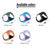 Truelove Ultra Light Harness & Leash Set for Small Dogs (Blue Coral) Both-Collar, Leashes, harnesses True Love