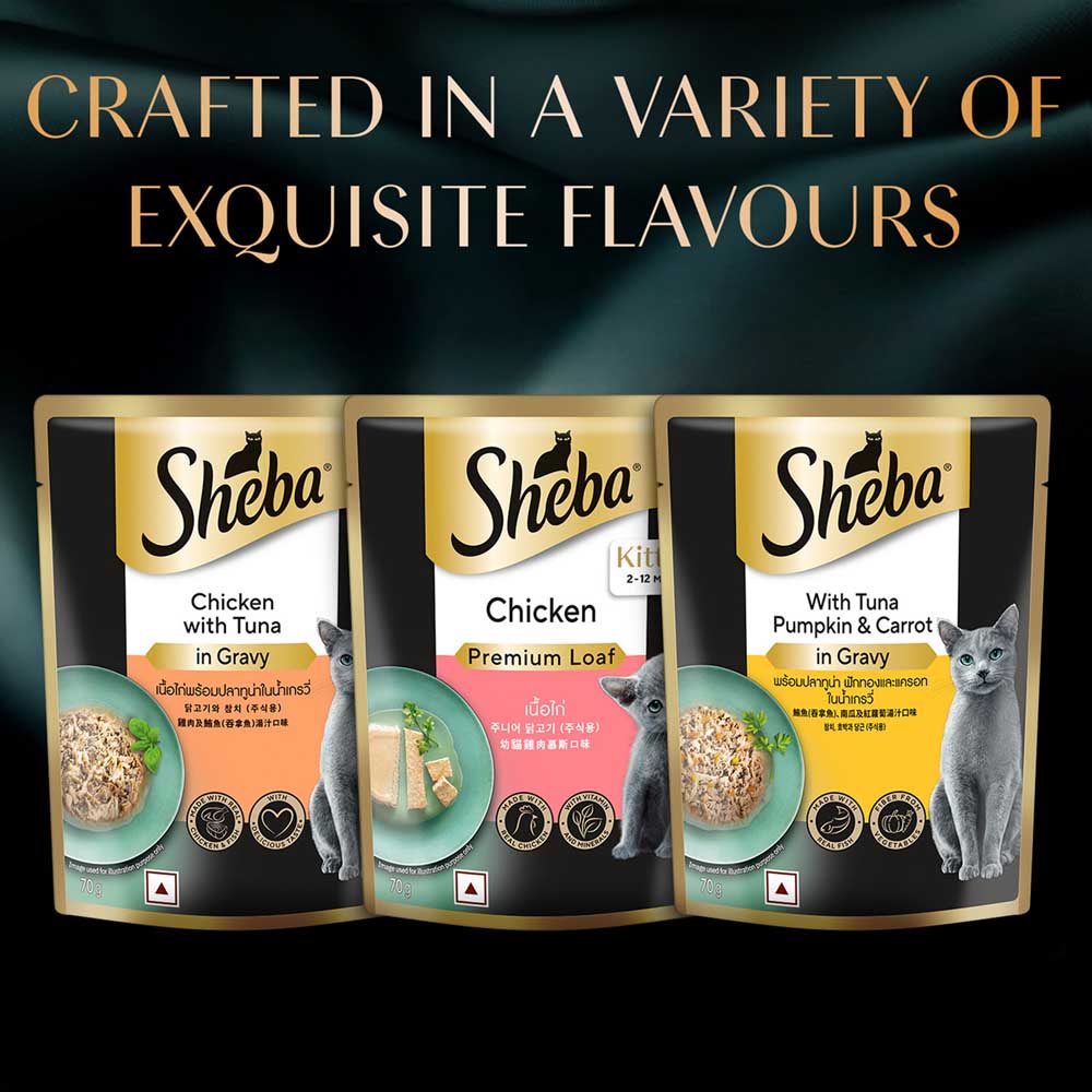 Sheba Chicken Loaf Rich Premium Kitten (2 to 12 Months) Fine Cat Wet Food Cats-Wet Food Sheba