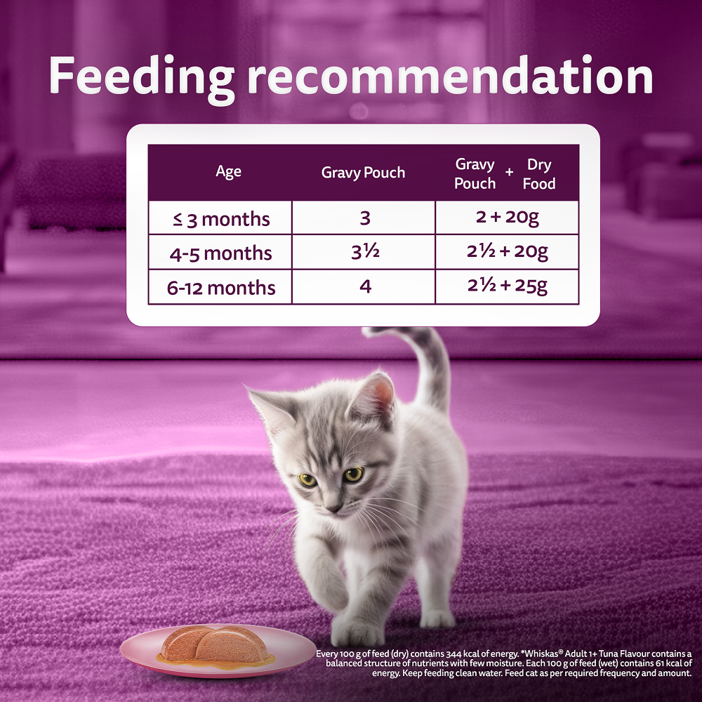 Whiskas Junior Mackerel Flavour Kitten (2-12 months) Cat Wet Food Cats-Wet Food Whiskas