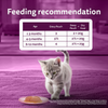 Whiskas Junior Mackerel Flavour Kitten (2-12 months) Cat Wet Food Cats-Wet Food Whiskas