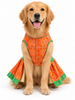 Pawgy Pets Festive Dress for Dogs (Orange & Green) Dogs-Clothing & Accessories Pawgypets Dropship