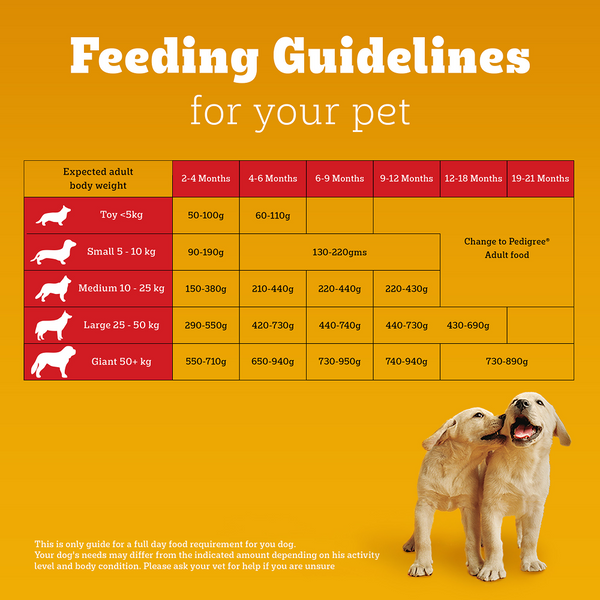 Pedigree Meat & Milk Puppy Dog Dry Food