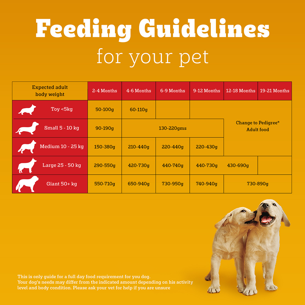 Pedigree Chicken and Milk Puppy Dog Dry Food