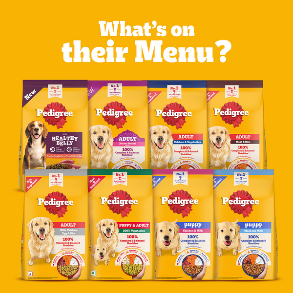 Pedigree New Healthy Belly Adult Dog Dry Food