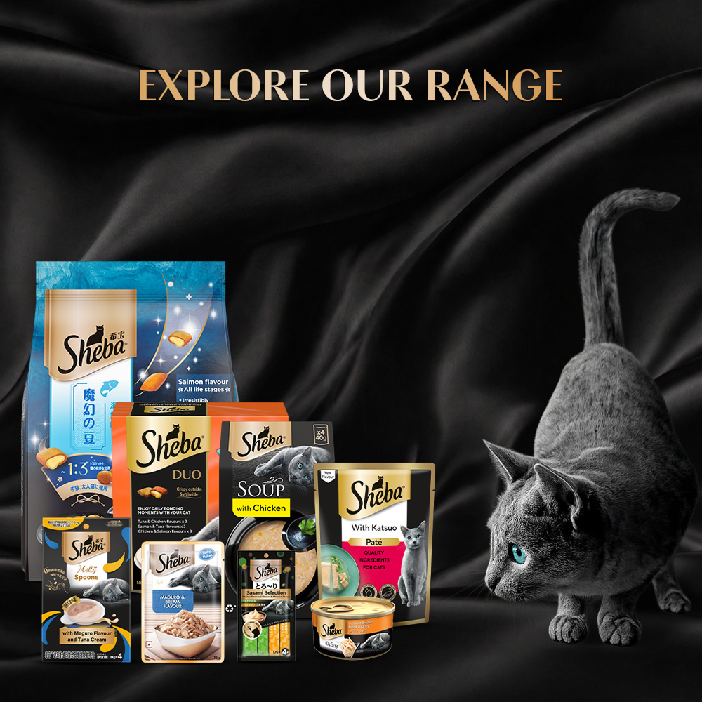 Sheba Duo Tuna & Chicken, Salmon & Tuna, Chicken & Salmon Crunchy Adult Cat Treats Cats-Treats & Others Sheba