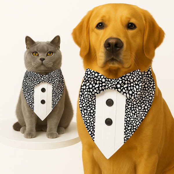 PawsIndia Starry Night Pattern Tuxedo Bandana with Matching Bow for Dogs and Cats