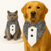 PawsIndia Starry Night Pattern Tuxedo Bandana with Matching Bow for Dogs and Cats Both-Clothing & Accessories Pawsindia Dropship
