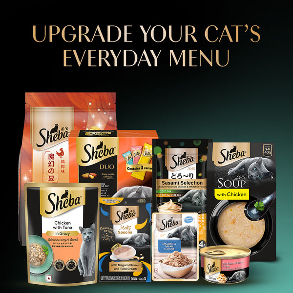 Sheba Fish with Dry Skipjack Premium Cat Wet Food