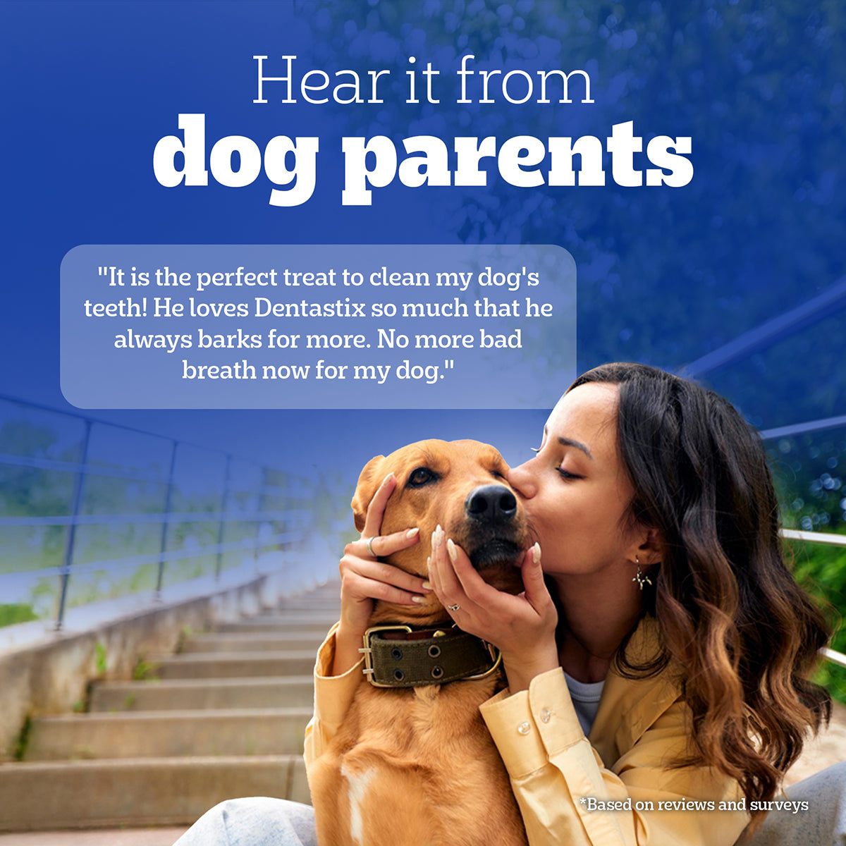 Pedigree Dentastix Oral Care for Adult (Large Breed of 25 kg+) Dog Treats