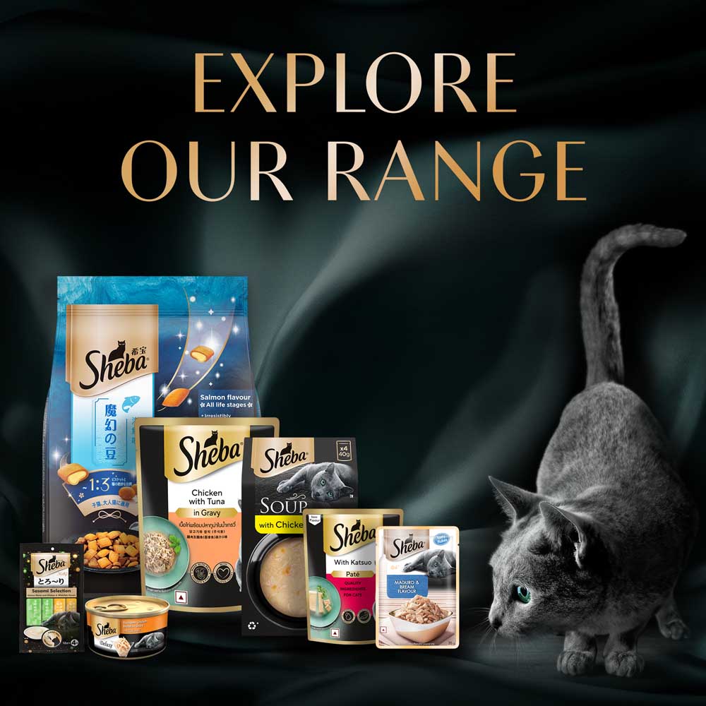 Sheba Tuna Pumpkin & Carrot In Gravy Rich Premium Adult Fine Cat Wet Food Cats-Wet Food Sheba