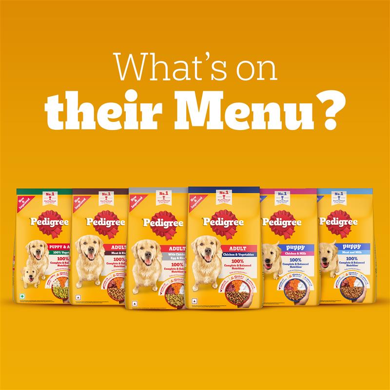 Pedigree Chicken and Milk Puppy Dog Dry Food Dogs- Dry Food Pedigree