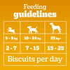 Pedigree Chicken with Milk Flavour (4+ Months) Biscrok Biscuits Jar Treats for Dogs Dog Treats + Others Pedigree