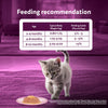 Whiskas Junior Salmon in Jelly Flavour Kitten (2-12 months) Cat Wet Food Cats-Wet Food Whiskas