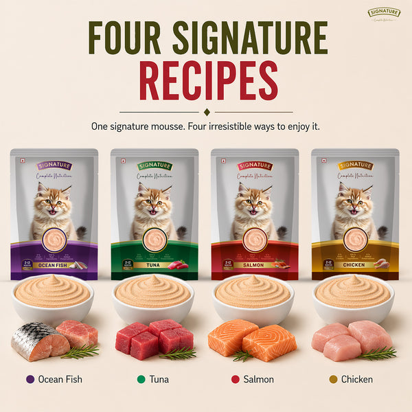 Signature Grain Zero Salmon Mousse Kitten Cat Wet Food