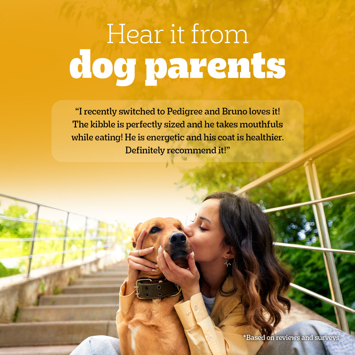 Pedigree Meat & Rice Adult Dog Dry Food Dogs- Dry Food Pedigree