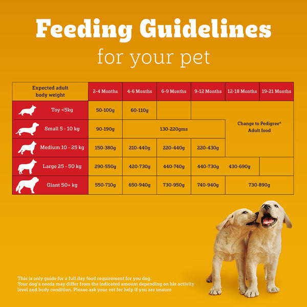Pedigree Puppy Dog Food Combo |Meat & Milk Dry & Chicken & Liver Wet