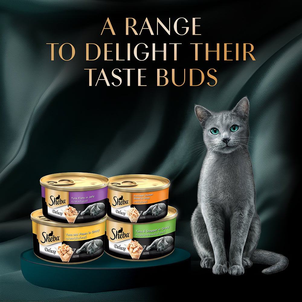 Sheba Tuna Fillet & Whole Prawns in Gravy Premium Cat Wet Food Cats-Wet Food Sheba