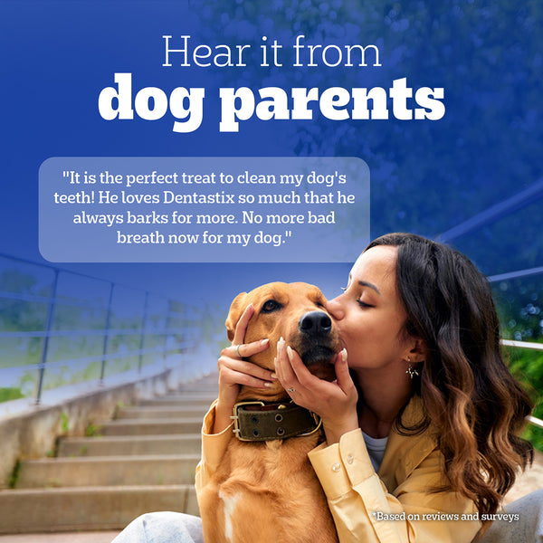 Pedigree Dentastix Oral Care for Adult (Small Breed of 5 to 10 kg) Dog Treats