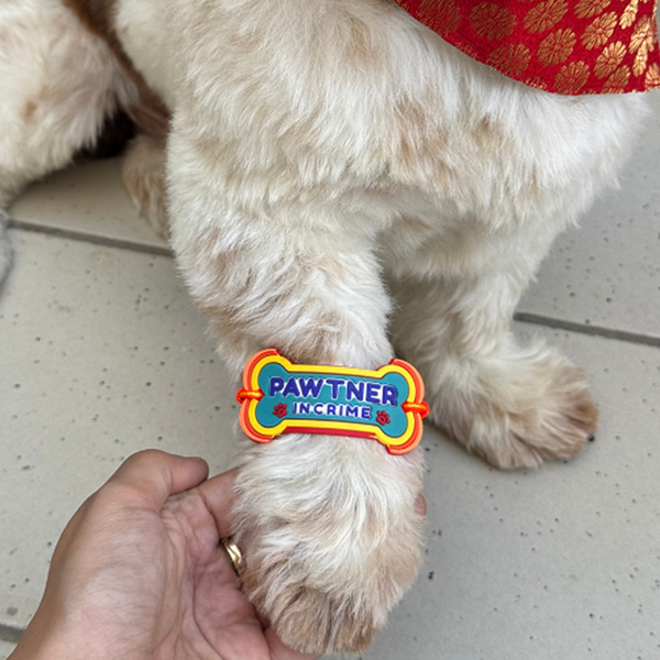 Raksha Bandhan Pawtner in Crime Rakhi for Dogs & Cats by Pawgypets