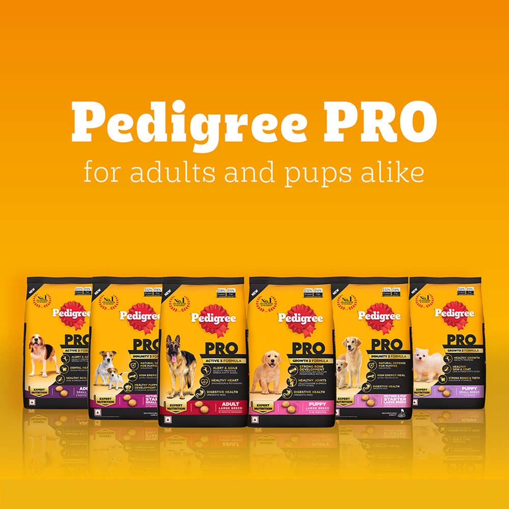 Pedigree PRO Expert Nutrition for Large Breed Puppy(3 to 18 Months) Dry Food Dogs- Dry Food Pedigree PRO