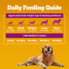 Pedigree Chicken Biryani Flavour Adult Dog Dry Food Dogs- Dry Food Pedigree