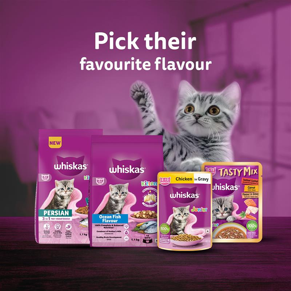 Whiskas Mackerel Flavour Kitten (2 to 12 months)Cat Dry Food Cats- Dry food Whiskas