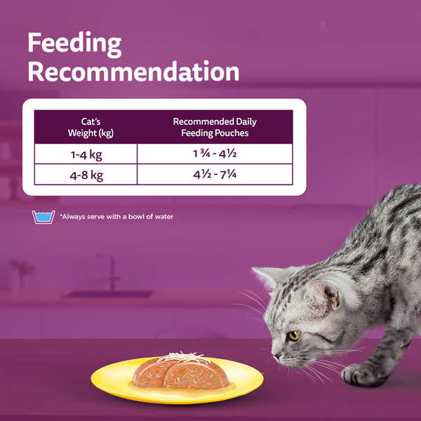 Whiskas Chicken with Salmon in Jelly Adult Cat Wet Food