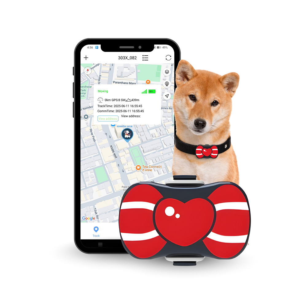 FeTaca PB1 Smart 4G GPS Waterproof Collar with Bow Tracker with 12months Free Tracking & App Subscription for Dogs and Cats (Red) Both-Collar, Leashes, harnesses FeTaca Dropship Free Size