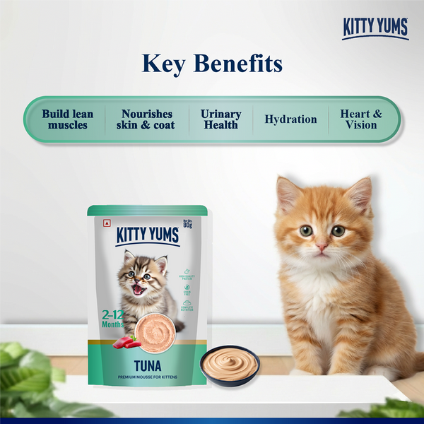 Kitty Yum Tuna Mousse Kitten Cat Wet Food