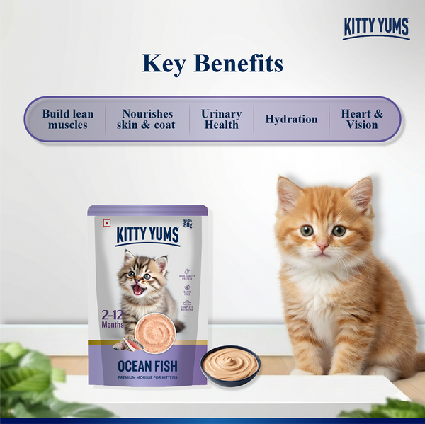 Kitty Yum Ocean Fish Mousse Kitten Cat Wet Food