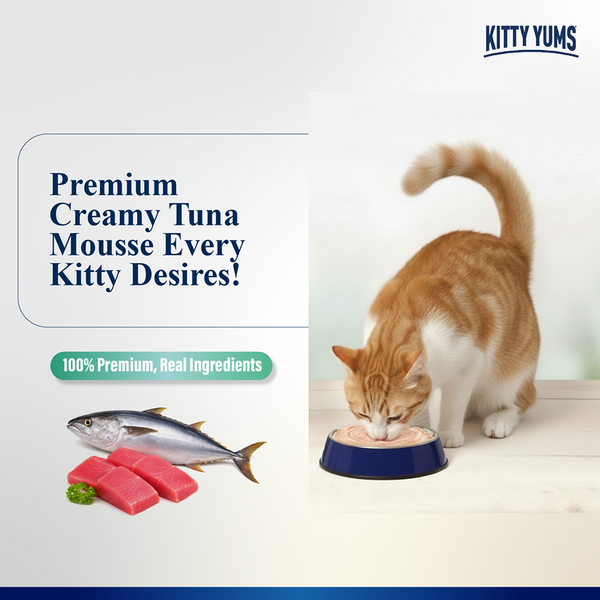 Kitty Yum Tuna Mousse Adult Cat Wet Food