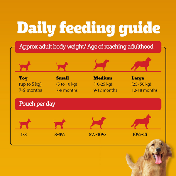 Pedigree Chicken and Liver Chunks in Gravy Adult Dog Wet Food (130g)