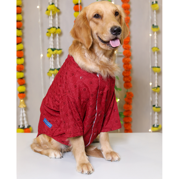 15 Furries Sherwani for Dogs (Red)