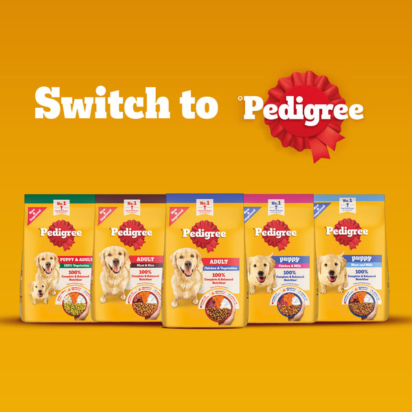 Pedigree Meat & Milk Puppy Dog Dry Food