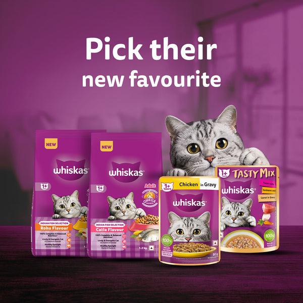 Whiskas Catla Fish Flavour Adult Cat Dry Food